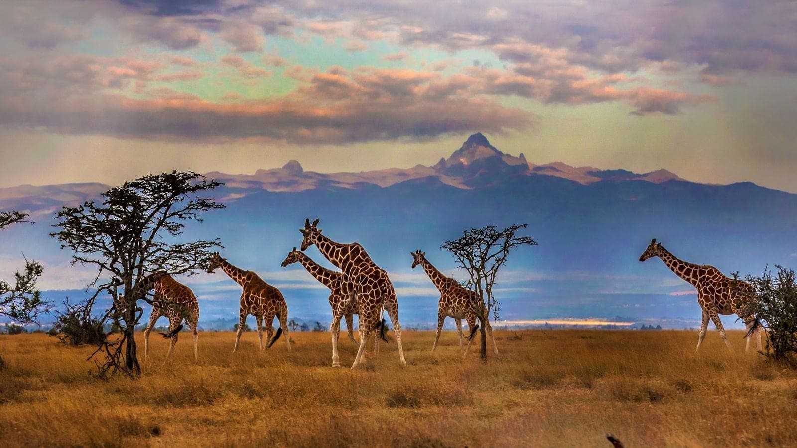 Nairobi, Kenya