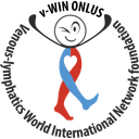 vWIN Foundation logo
